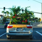 Vanity Plates5